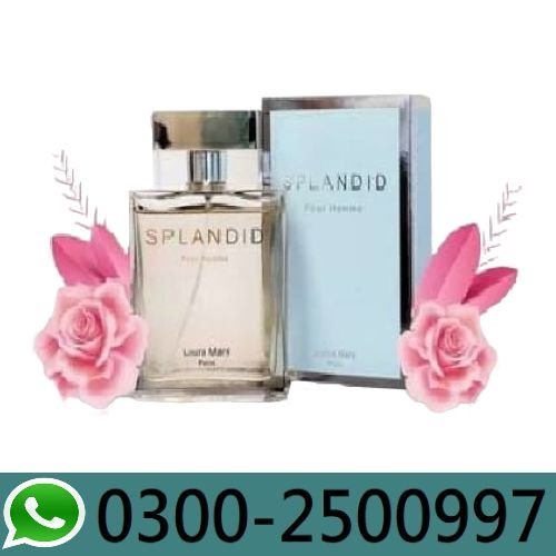 Splandid Pour Homme Price In Pakistan
